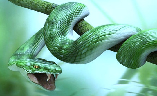 green snake